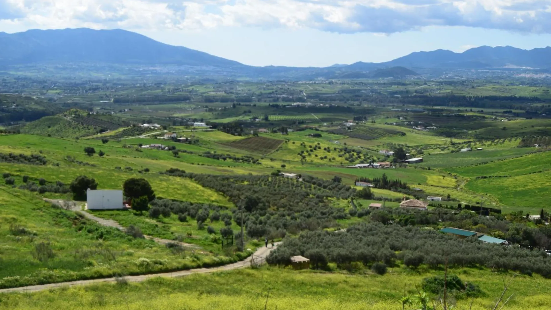 Mount Tatum Apartment Pizarra