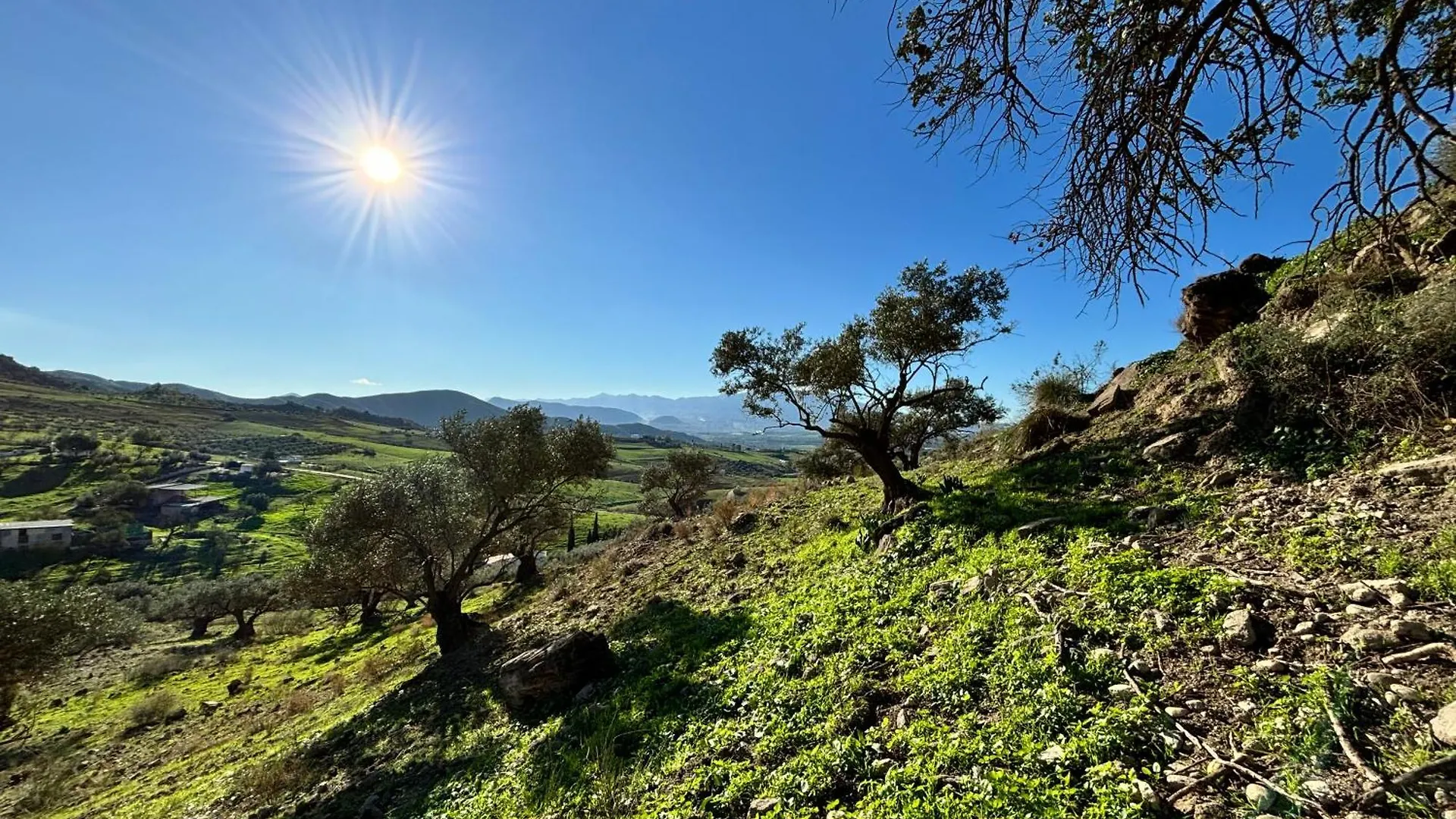 Mount Tatum Apartment Pizarra