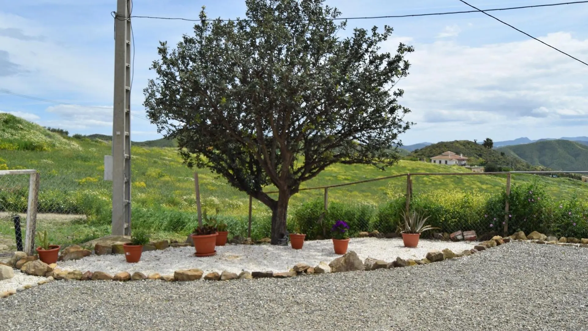 Mount Tatum Apartment Pizarra