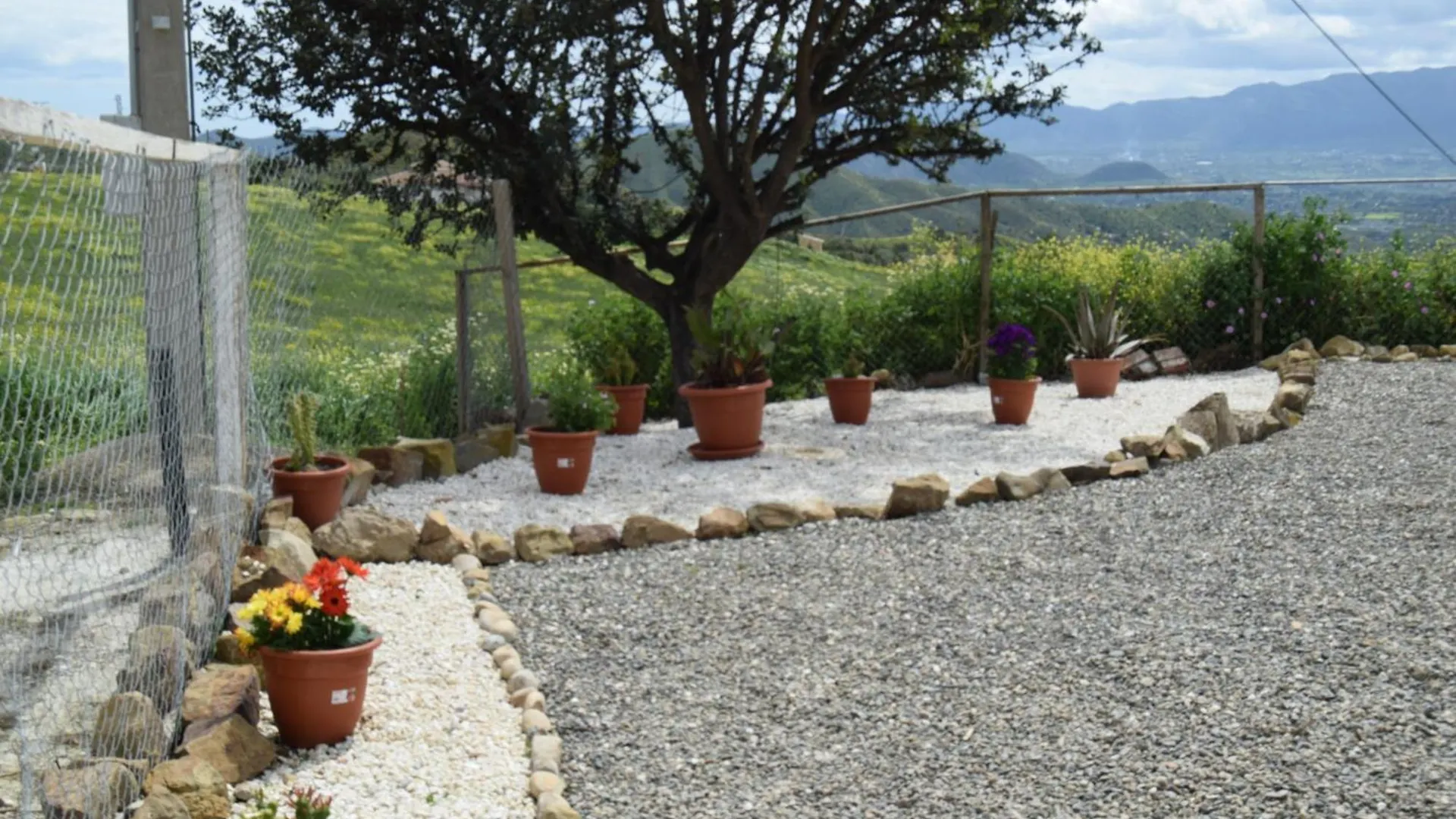 Mount Tatum Apartment Pizarra