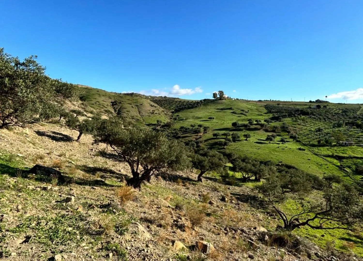 Mount Tatum Apartment Pizarra