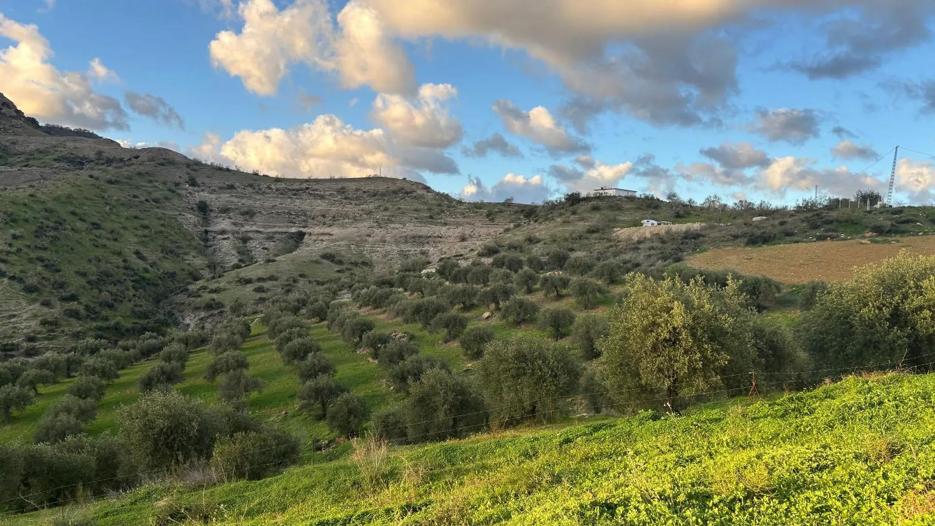 Mount Tatum Daire Pizarra 0*,  İspanya