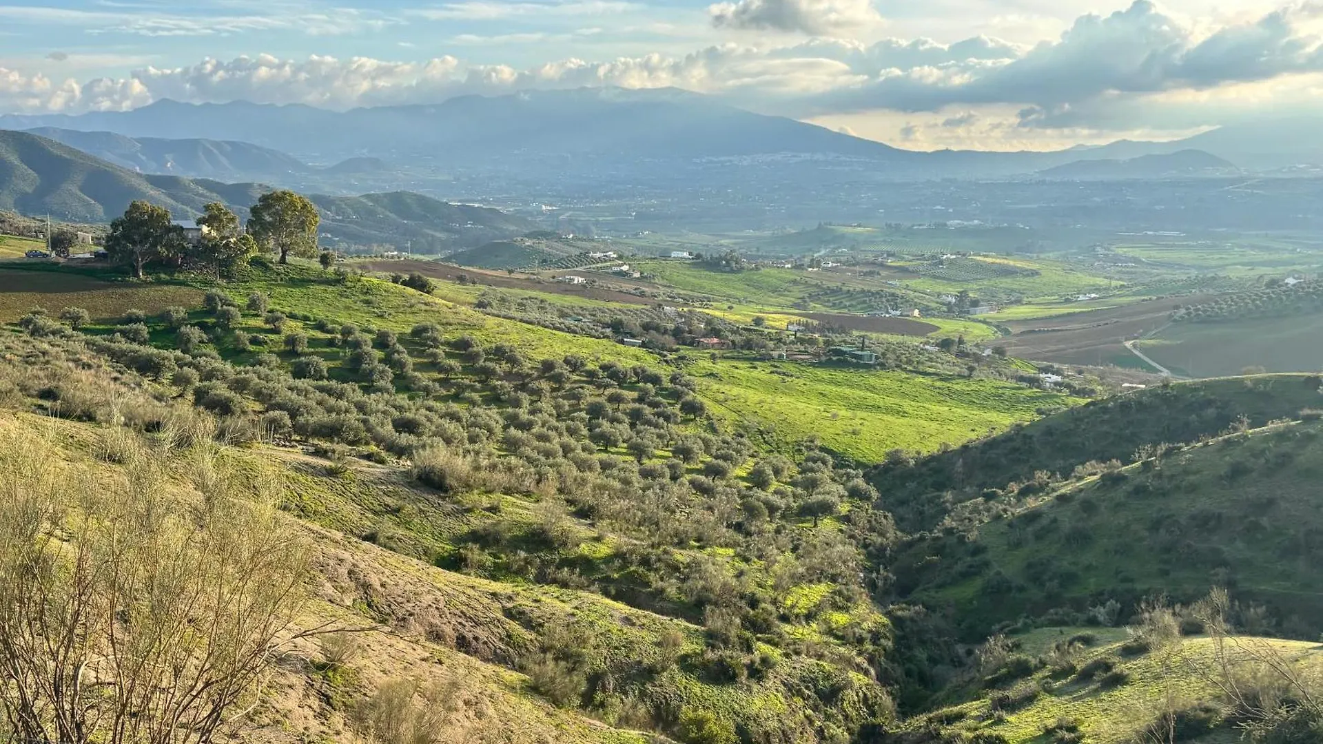 Mount Tatum Daire Pizarra