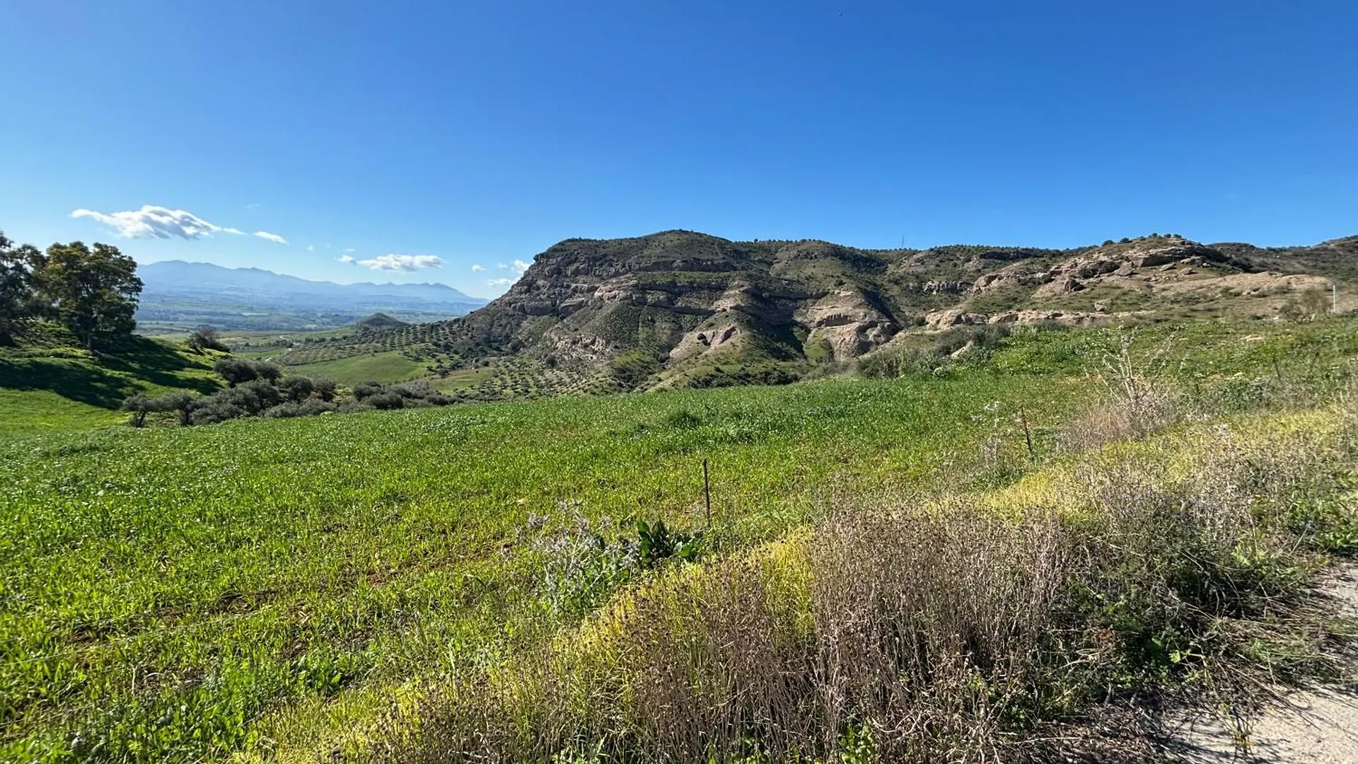 Mount Tatum Daire Pizarra