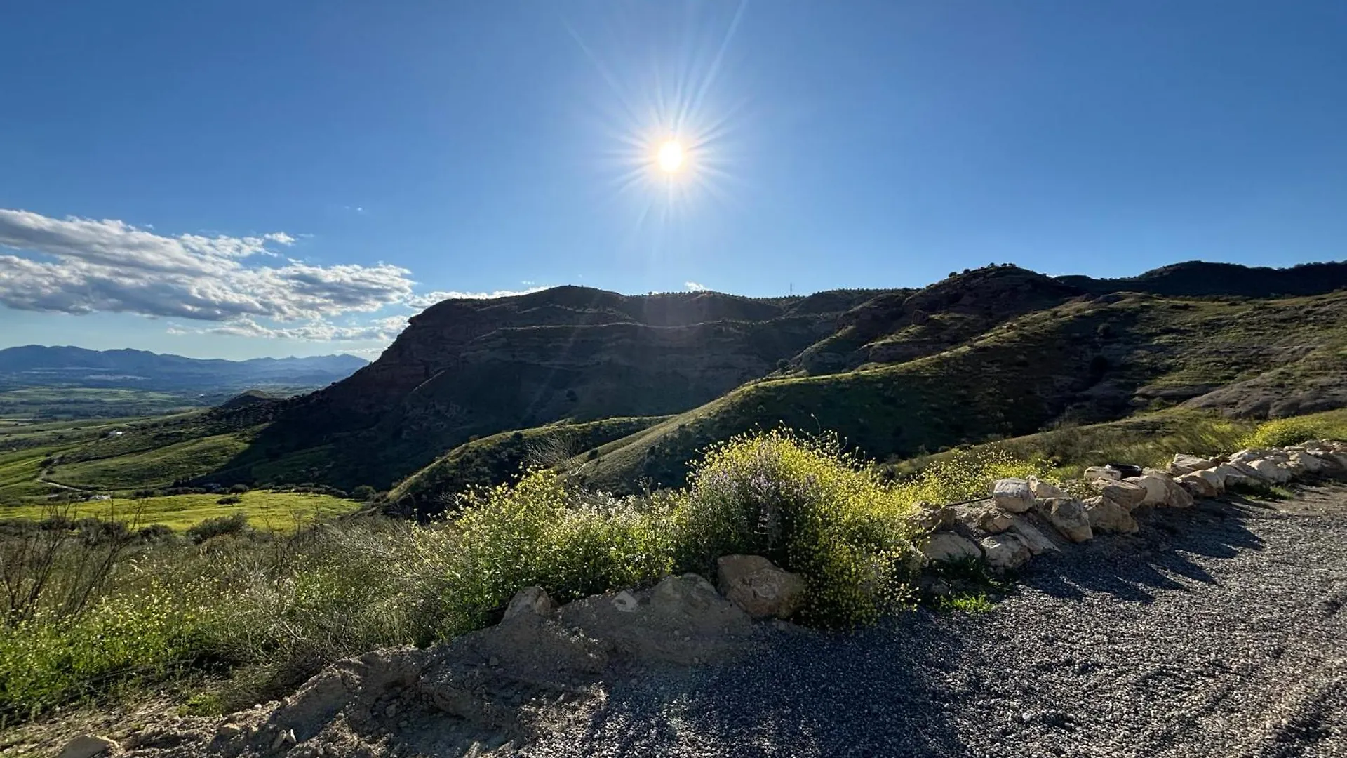 Mount Tatum Daire Pizarra